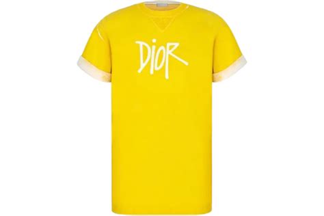 dior and shawn oversized t shirt|Dior And Shawn Oversized Logo T.